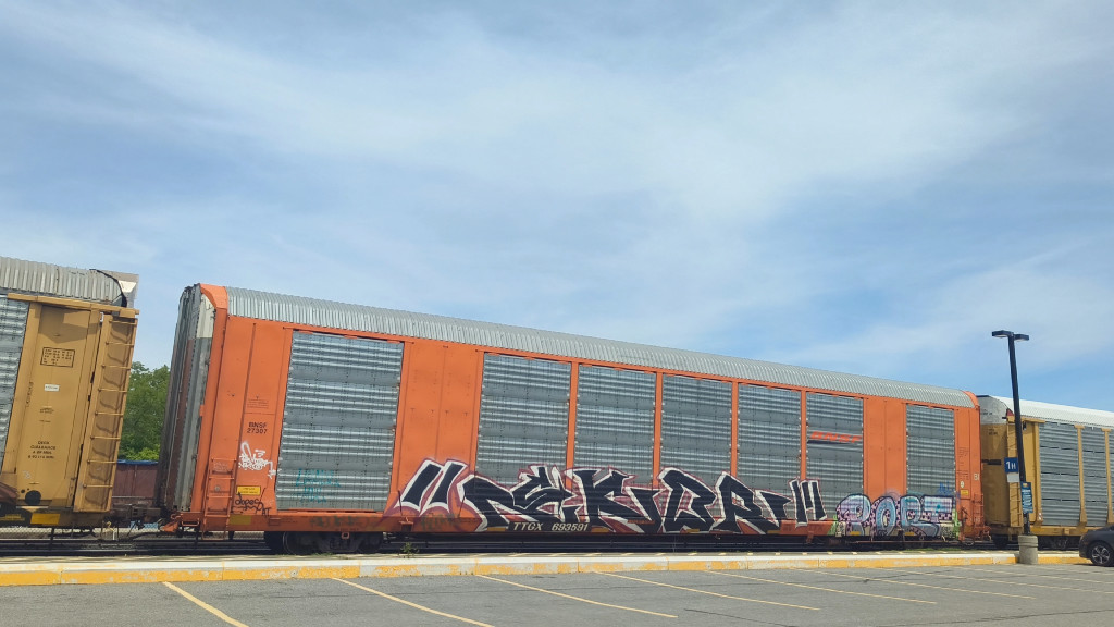 BNSF 27307 (Body) TTGX 693591 (Flat)